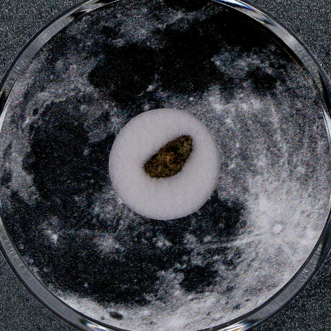 Moon Rock Lunar Meteorite Bechar 003 Algerian Sahara Desert Discovered 2022 COA