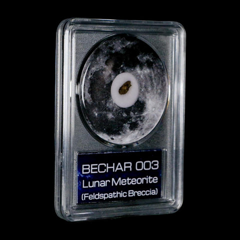 Moon Rock Lunar Meteorite Bechar 003 Algerian Sahara Desert Discovered 2022 COA