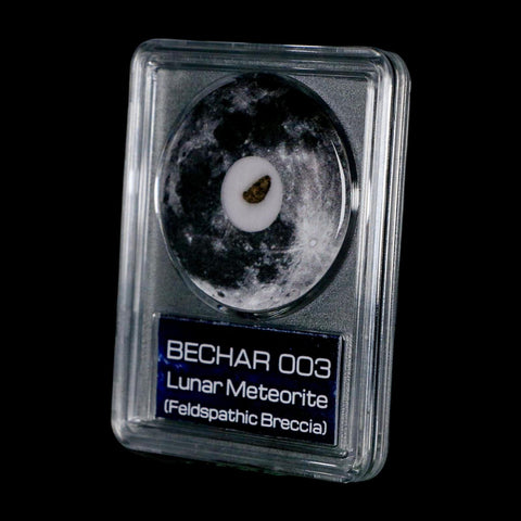 Moon Rock Lunar Meteorite Bechar 003 Algerian Sahara Desert Discovered 2022 COA