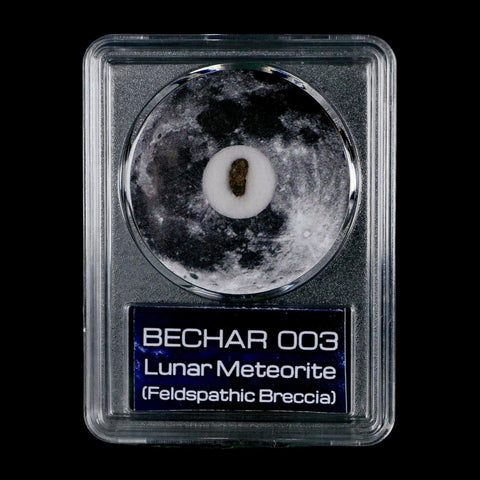 Moon Rock Lunar Meteorite Bechar 003 Algerian Sahara Desert Discovered 2022 COA