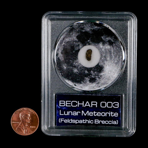Moon Rock Lunar Meteorite Bechar 003 Algerian Sahara Desert Discovered 2022 COA