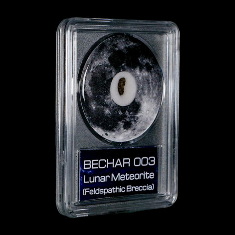 Moon Rock Lunar Meteorite Bechar 003 Algerian Sahara Desert Discovered 2022 COA