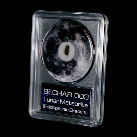 Moon Rock Lunar Meteorite Bechar 003 Algerian Sahara Desert Discovered 2022 COA