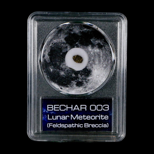 Moon Rock Lunar Meteorite Bechar 003 Algerian Sahara Desert Discovered 2022 COA
