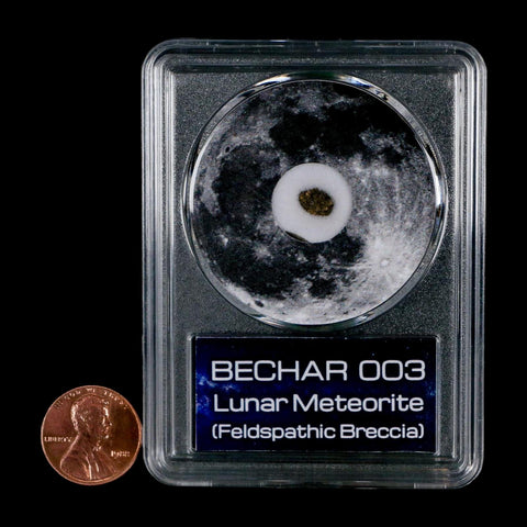 Moon Rock Lunar Meteorite Bechar 003 Algerian Sahara Desert Discovered 2022 COA