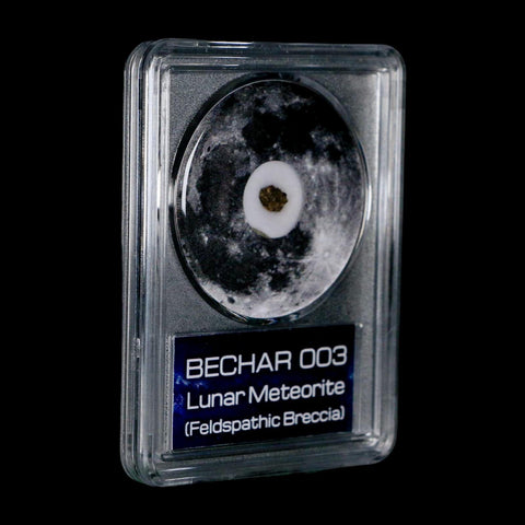 Moon Rock Lunar Meteorite Bechar 003 Algerian Sahara Desert Discovered 2022 COA