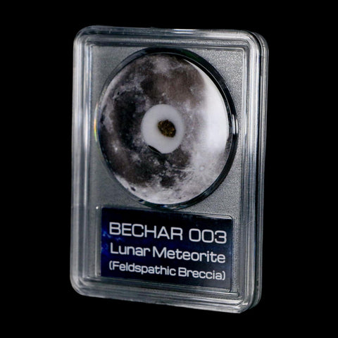 Moon Rock Lunar Meteorite Bechar 003 Algerian Sahara Desert Discovered 2022 COA