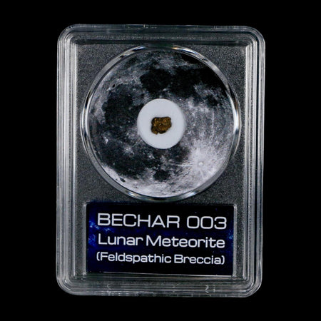 Moon Rock Lunar Meteorite Bechar 003 Algerian Sahara Desert Discovered 2022 COA