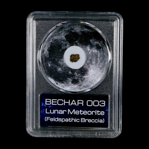 Moon Rock Lunar Meteorite Bechar 003 Algerian Sahara Desert Discovered 2022 COA
