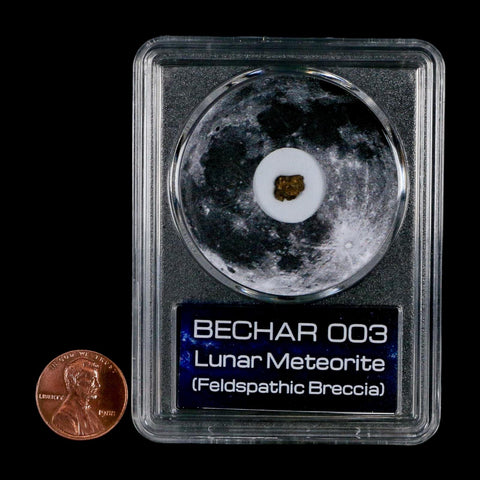 Moon Rock Lunar Meteorite Bechar 003 Algerian Sahara Desert Discovered 2022 COA