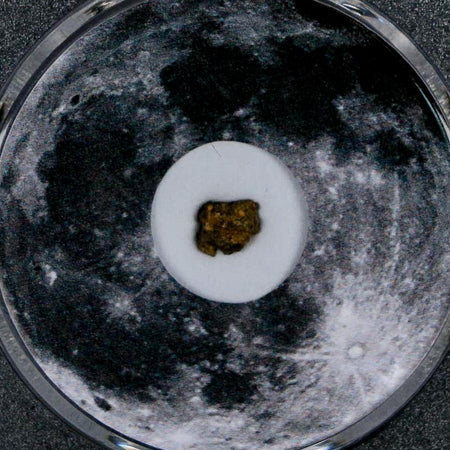 Moon Rock Lunar Meteorite Bechar 003 Algerian Sahara Desert Discovered 2022 COA