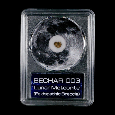 Moon Rock Lunar Meteorite Bechar 003 Algerian Sahara Desert Discovered 2022 COA