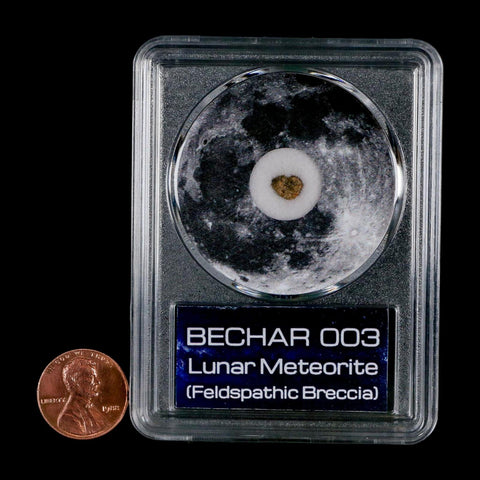 Moon Rock Lunar Meteorite Bechar 003 Algerian Sahara Desert Discovered 2022 COA