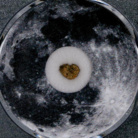 Moon Rock Lunar Meteorite Bechar 003 Algerian Sahara Desert Discovered 2022 COA