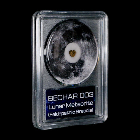 Moon Rock Lunar Meteorite Bechar 003 Algerian Sahara Desert Discovered 2022 COA