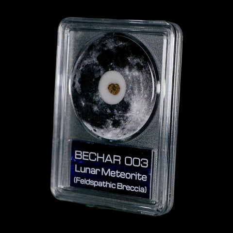 Moon Rock Lunar Meteorite Bechar 003 Algerian Sahara Desert Discovered 2022 COA