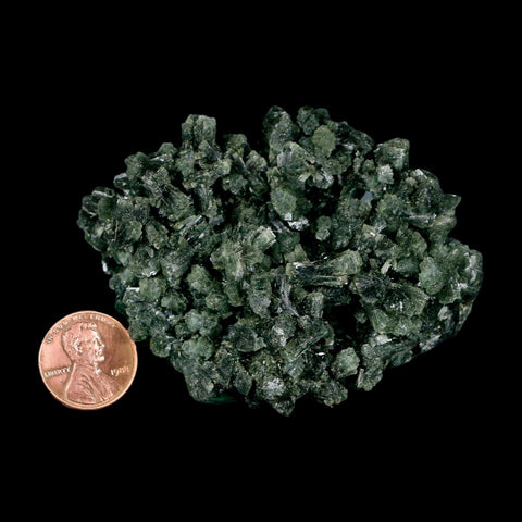 3.1" Rough Dark Green Prehnite Crystal Mineral Specimen Location Imilchil, Morocco - Fossil Age Minerals