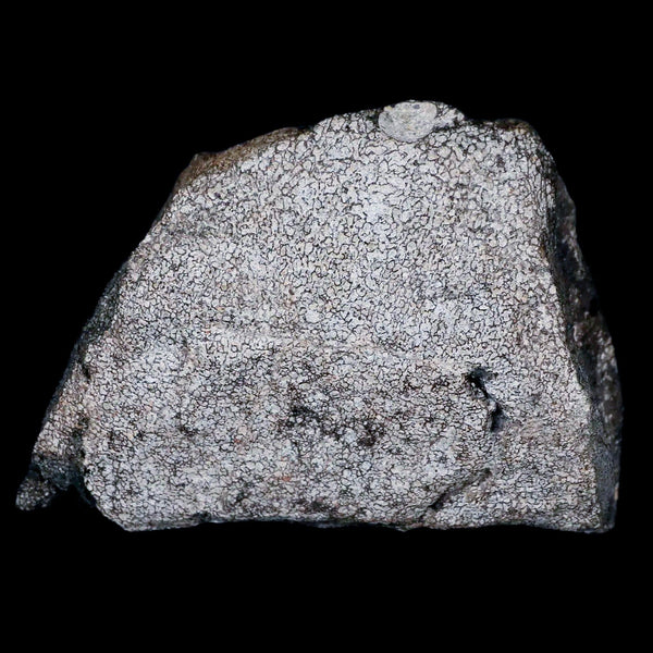 3.1