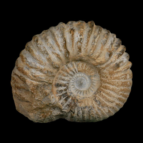 5.2