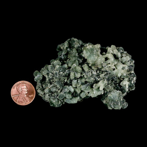 3" Rough Dark Green Prehnite Crystal Mineral Specimen Location Imilchil, Morocco - Fossil Age Minerals