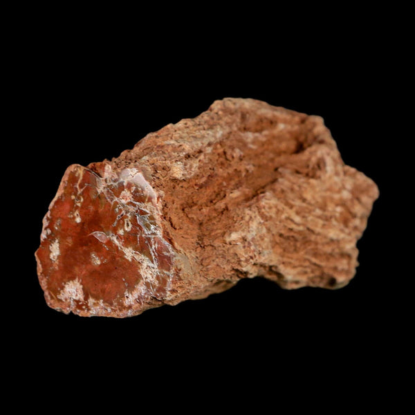 2.6