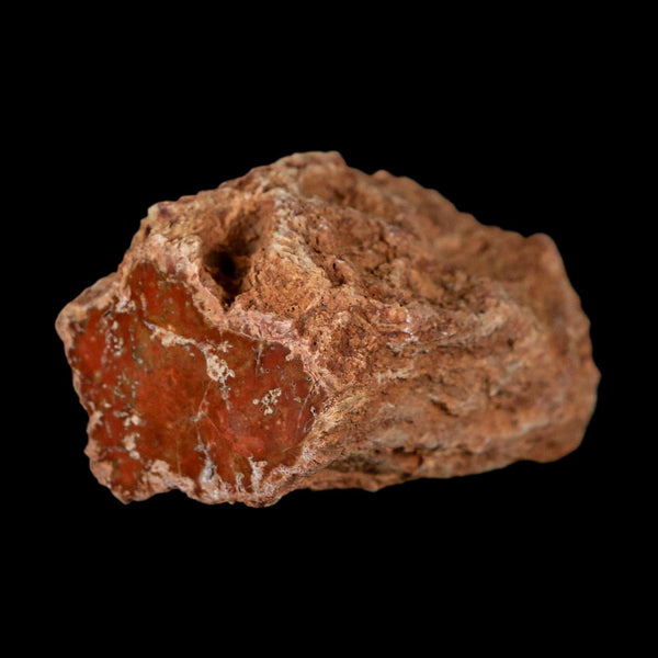 2.6