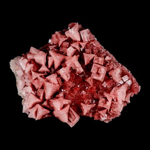 4.8" Quality Deep Pink Halite Salt Crystals Cluster Mineral Trona, CA Searles Lake - Fossil Age Minerals