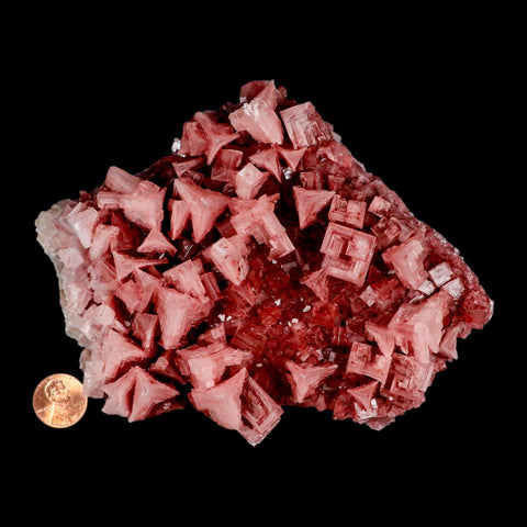 4.8" Quality Deep Pink Halite Salt Crystals Cluster Mineral Trona, CA Searles Lake - Fossil Age Minerals