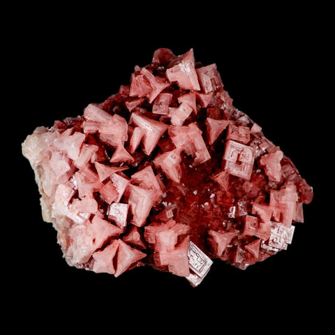 4.8" Quality Deep Pink Halite Salt Crystals Cluster Mineral Trona, CA Searles Lake - Fossil Age Minerals