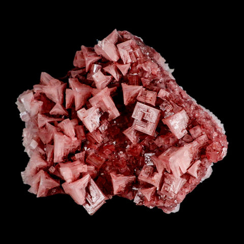4.8" Quality Deep Pink Halite Salt Crystals Cluster Mineral Trona, CA Searles Lake - Fossil Age Minerals