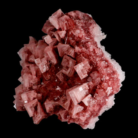 4.8" Quality Deep Pink Halite Salt Crystals Cluster Mineral Trona, CA Searles Lake - Fossil Age Minerals