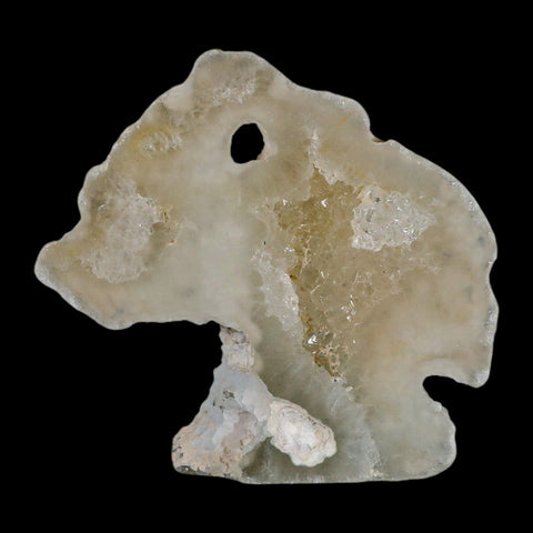 3.3" Agatized Coral Fossil Oligocene and Miocene Epochs Tampa Bay Florida - Fossil Age Minerals