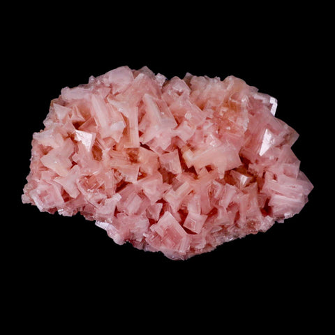 7.2" Quality Pink Halite Salt Crystals Cluster Mineral Trona, CA Searles Lake Stand - Fossil Age Minerals