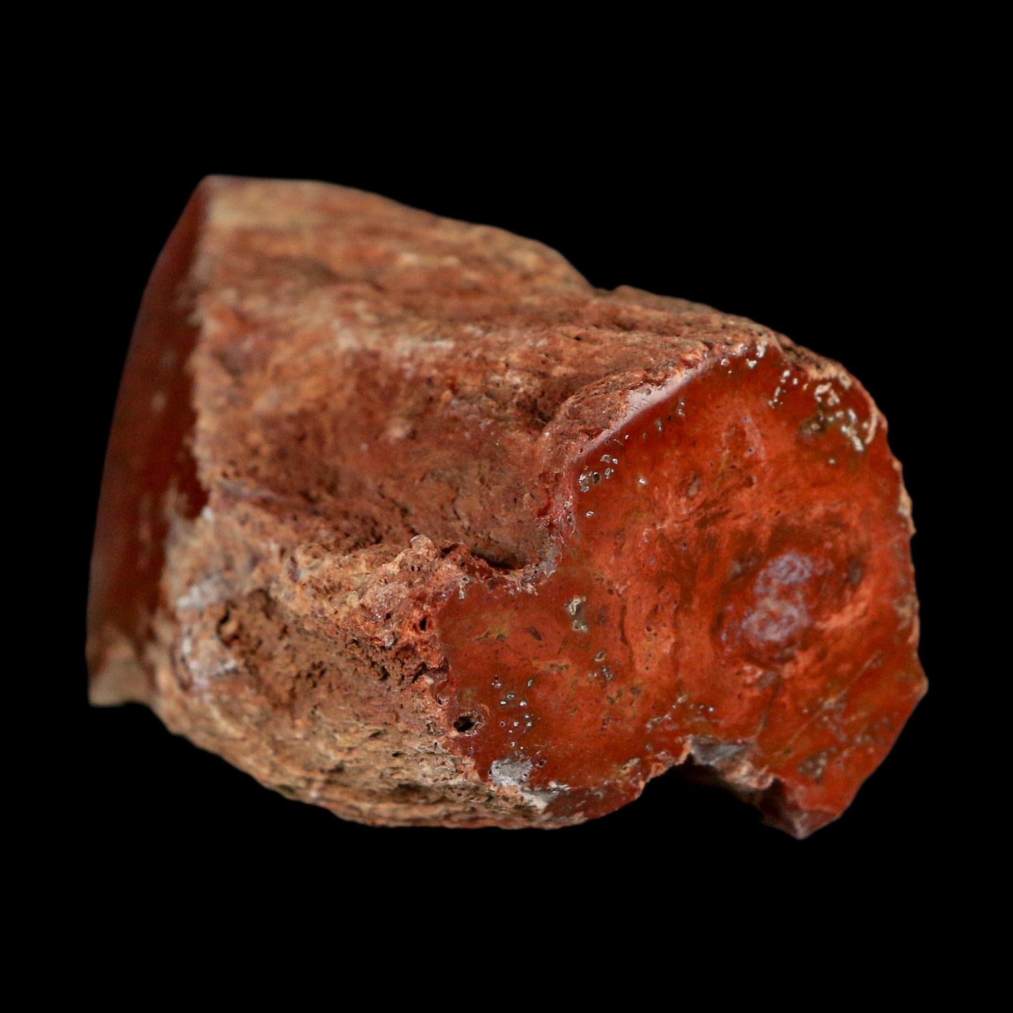 2.7" Fossilized Polished Petrified Wood Branch Madagascar 66-225 Million Yrs Old - Fossil Age Minerals