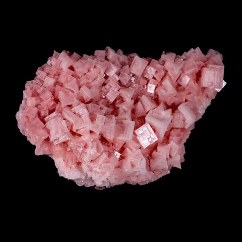 8" Quality Pink Halite Salt Crystals Cluster Mineral Trona, CA Searles Lake Stand - Fossil Age Minerals