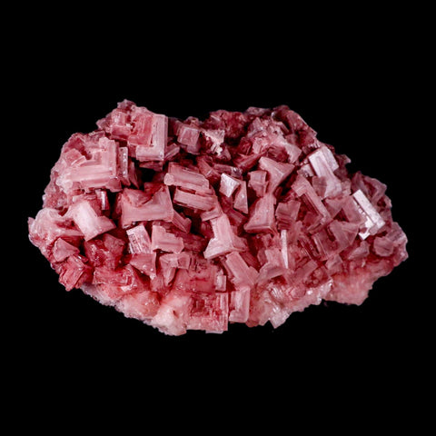 7.5" Quality Deep Pink Halite Salt Crystals Cluster Mineral Trona, CA Searles Lake Stand - Fossil Age Minerals