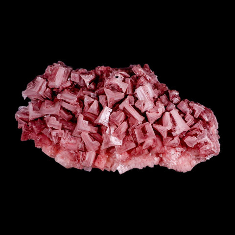 7.5" Quality Deep Pink Halite Salt Crystals Cluster Mineral Trona, CA Searles Lake Stand - Fossil Age Minerals