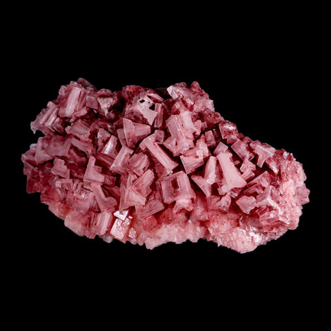 7.5" Quality Deep Pink Halite Salt Crystals Cluster Mineral Trona, CA Searles Lake Stand - Fossil Age Minerals