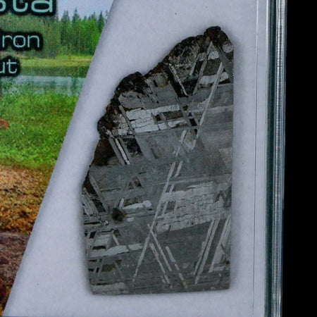 1.5" Muonionalusta Meteorite Specimen Sweden Meteorites Display 9.5 Grams