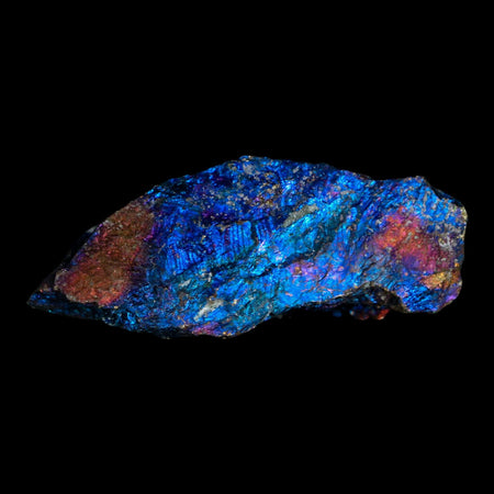 2.3" Chalcopyrite Bornite Brilliant Multicolored Peacock Ore Chihuahua Mexico