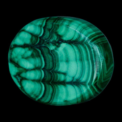 1.7" Dark Green Malachite Polished Palm Stone Mineral Specimen Republic of the Congo - Fossil Age Minerals