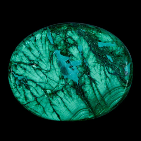 1.8" Dark Green Malachite Polished Palm Stone Mineral Specimen Republic of the Congo