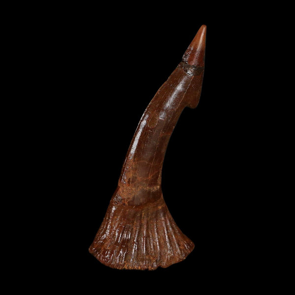 XL 2.7