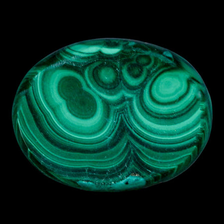 1.6" Dark Green Malachite Polished Palm Stone Mineral Specimen Republic of the Congo
