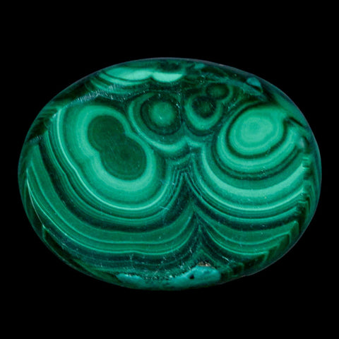1.6" Dark Green Malachite Polished Palm Stone Mineral Specimen Republic of the Congo - Fossil Age Minerals