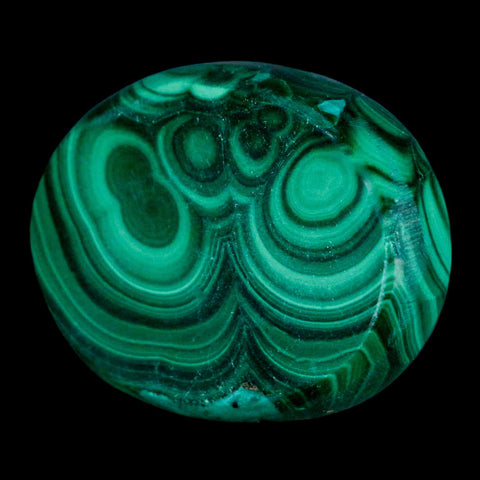 1.6" Dark Green Malachite Polished Palm Stone Mineral Specimen Republic of the Congo - Fossil Age Minerals