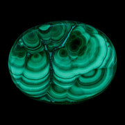 1.6" Dark Green Malachite Polished Palm Stone Mineral Specimen Republic of the Congo