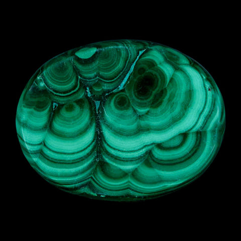1.6" Dark Green Malachite Polished Palm Stone Mineral Specimen Republic of the Congo - Fossil Age Minerals