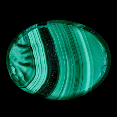 1.9" Dark Green Malachite Polished Palm Stone Mineral Specimen Republic of the Congo - Fossil Age Minerals
