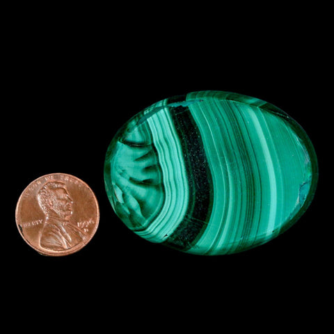 1.9" Dark Green Malachite Polished Palm Stone Mineral Specimen Republic of the Congo - Fossil Age Minerals